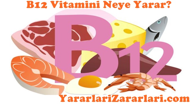 B12 Vitamini Nelere Yarar
